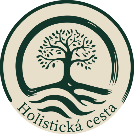 Holistická cesta, Zdravie, Mentálne a emocionálne zdravie, Financie