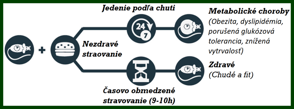 Prerušovaný pôst, časovo obmedzené stravovanie a jeho benefity